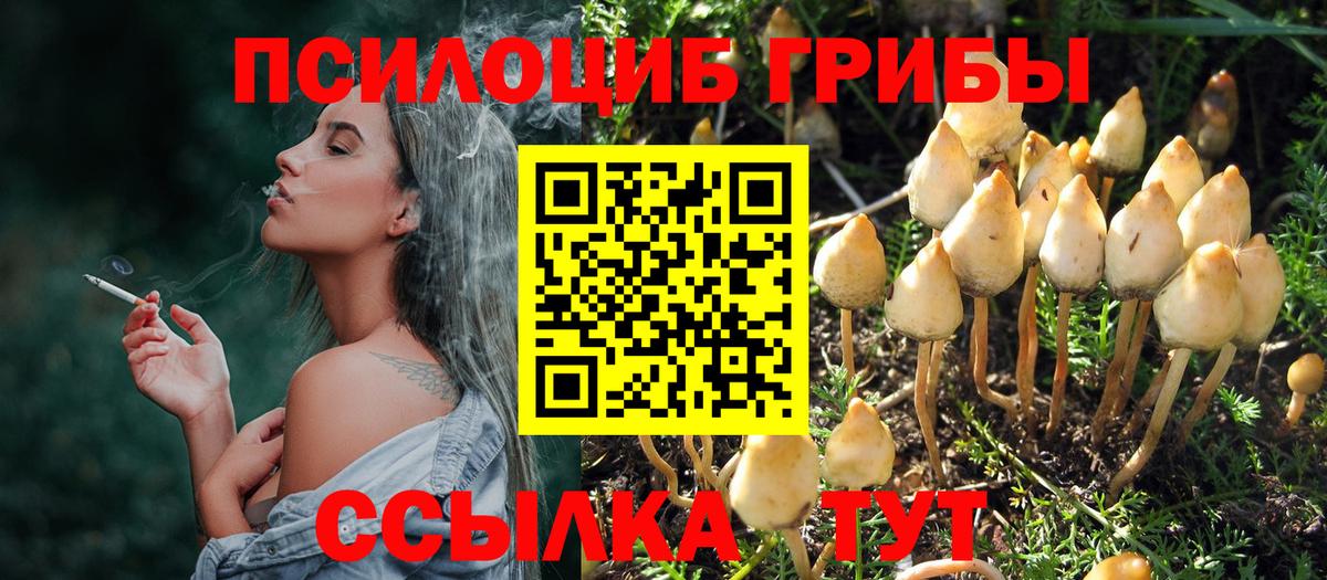 Среднеуральск  Галлюциногенные грибы Magic Shrooms  Вход с VPN 